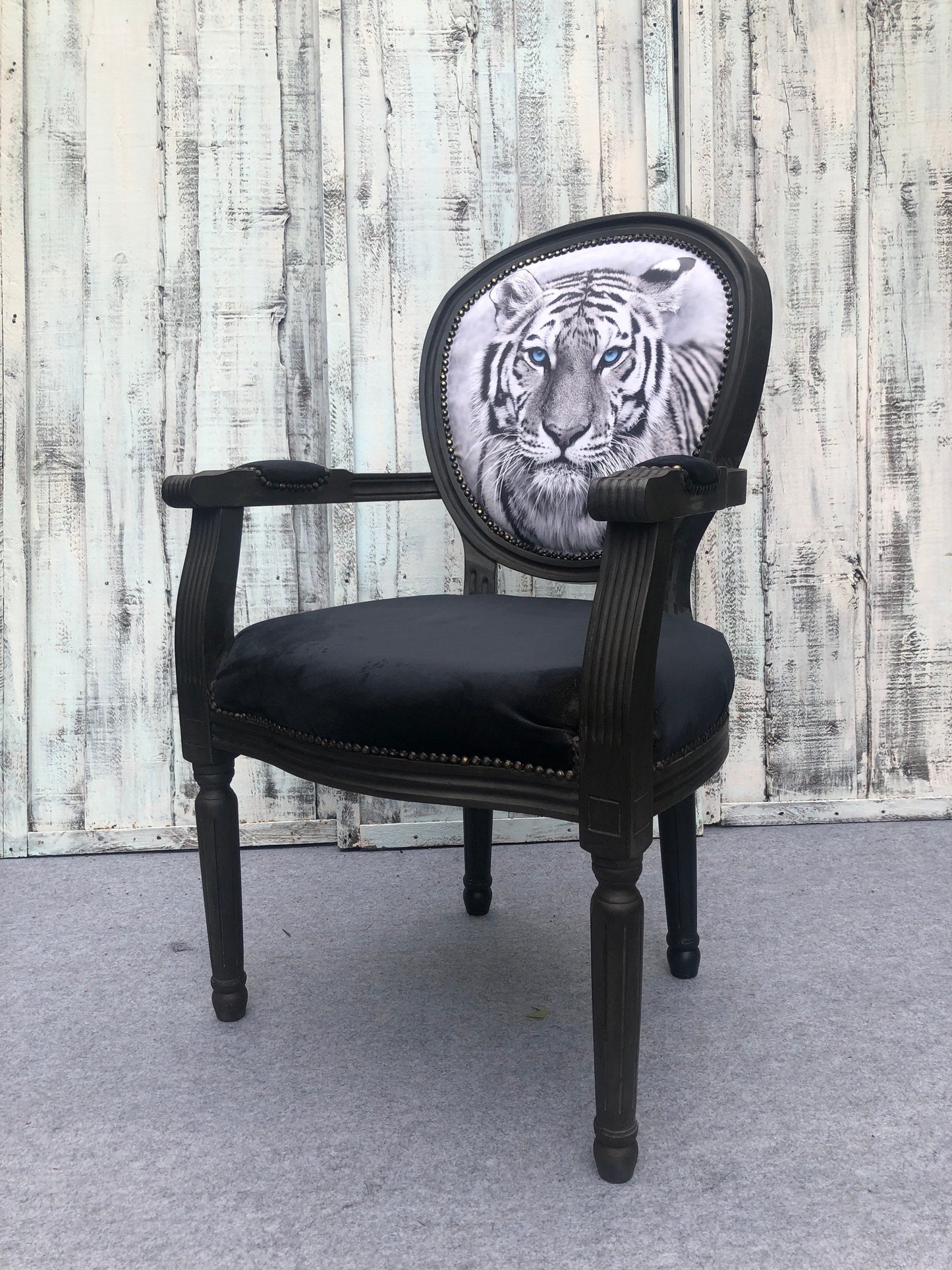 Throne, armchair, black, elegant, comfortable. Tiger. Animal. Animal theme. cat.