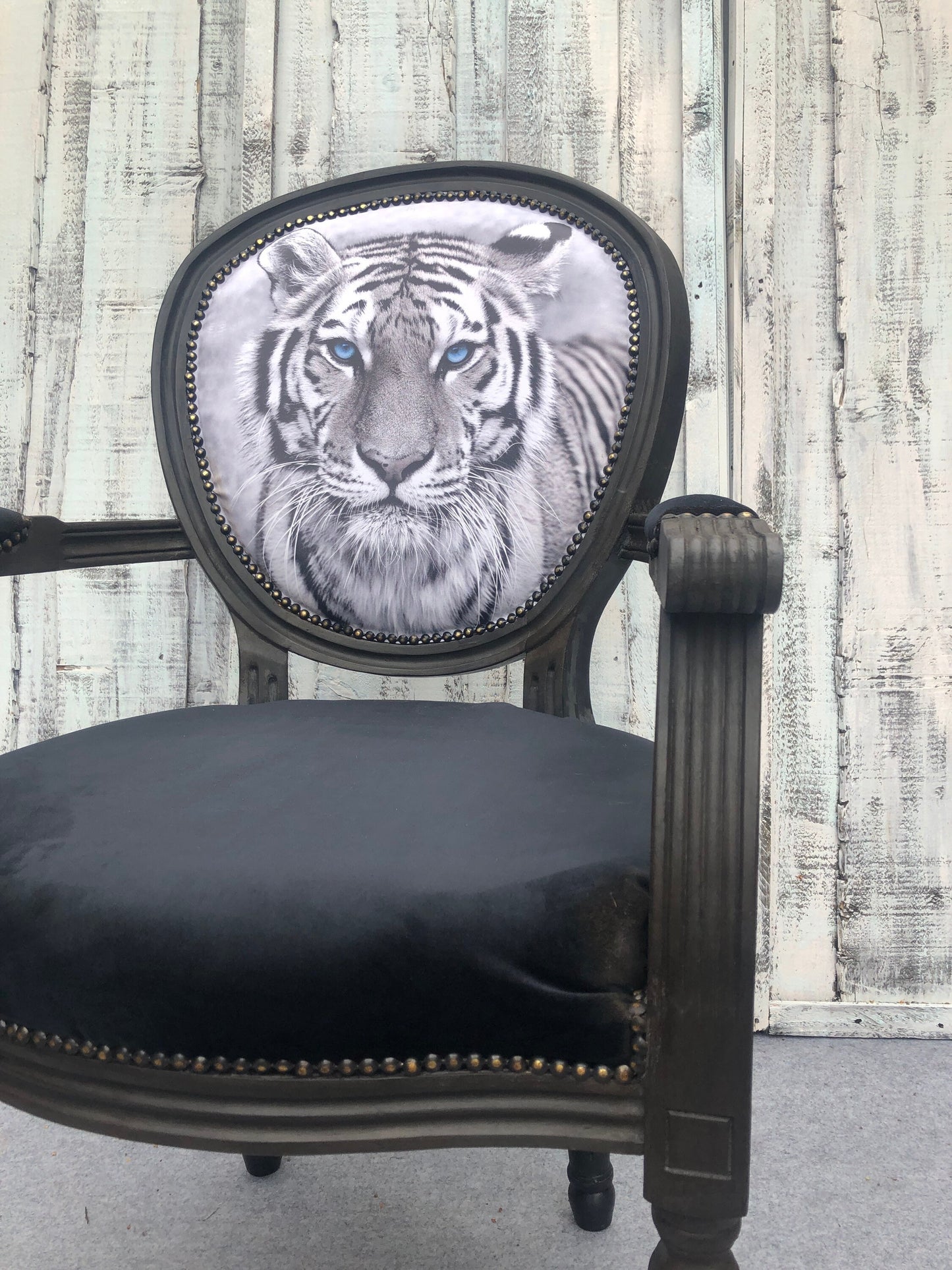 Throne, armchair, black, elegant, comfortable. Tiger. Animal. Animal theme. cat.